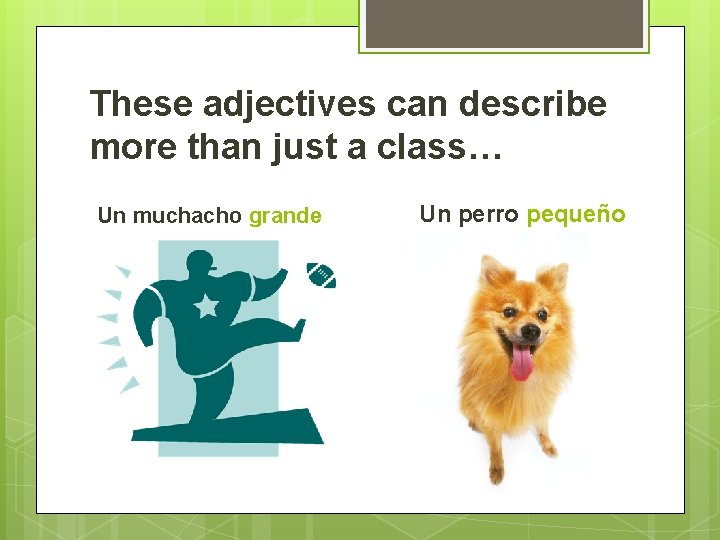 These adjectives can describe more than just a class… Un muchacho grande Un perro