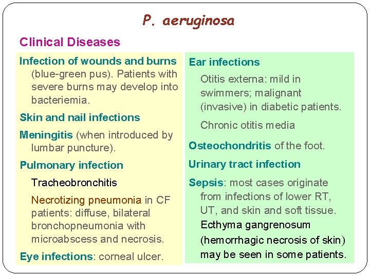 P. aeruginosa Clinical Diseases Infection of wounds and burns Ear infections (blue-green pus). Patients