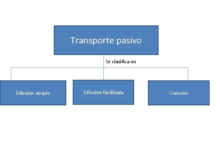 Transporte pasivo Se clasifica en Difusión simple Difusión facilitada Osmosis 