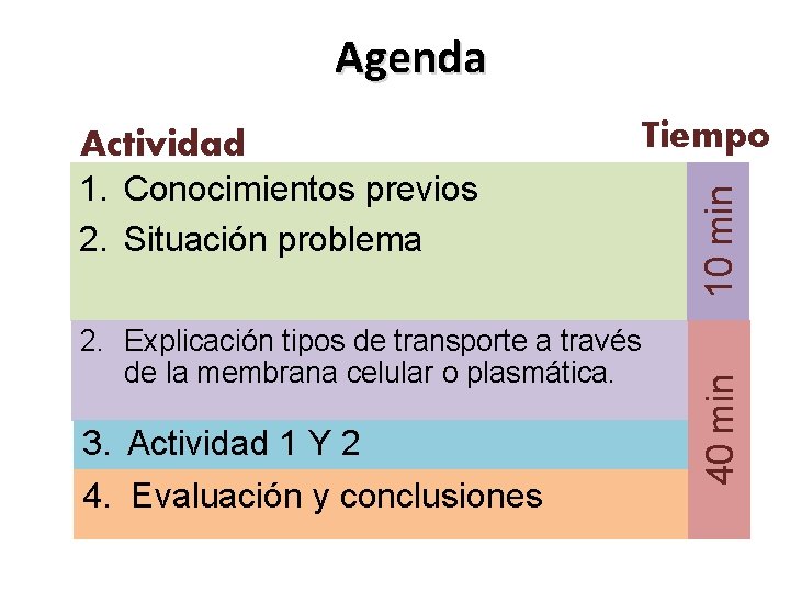 Agenda 2. Explicación tipos de transporte a través de la membrana celular o plasmática.