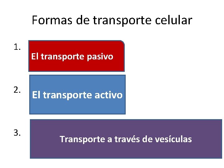 Formas de transporte celular 1. 2. 3. El transporte pasivo El transporte activo Transporte
