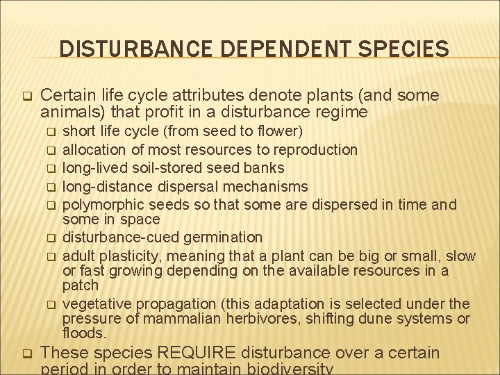 DISTURBANCE DEPENDENT SPECIES q Certain life cycle attributes denote plants (and some animals) that