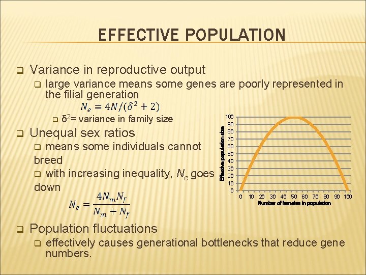 EFFECTIVE POPULATION Variance in reproductive output q large variance means some genes are poorly