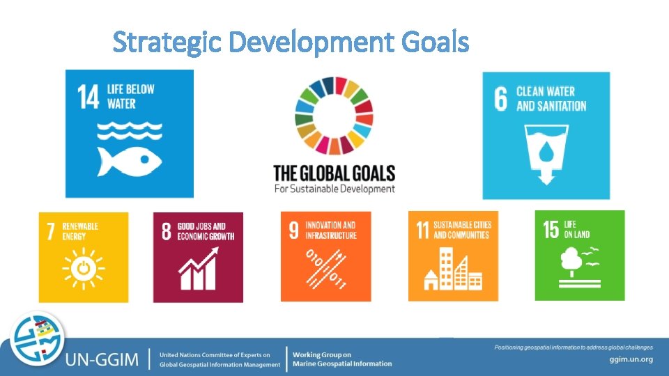 Strategic Development Goals 
