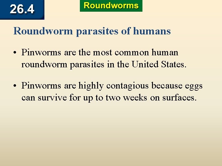 Roundworm parasites of humans • Pinworms are the most common human roundworm parasites in