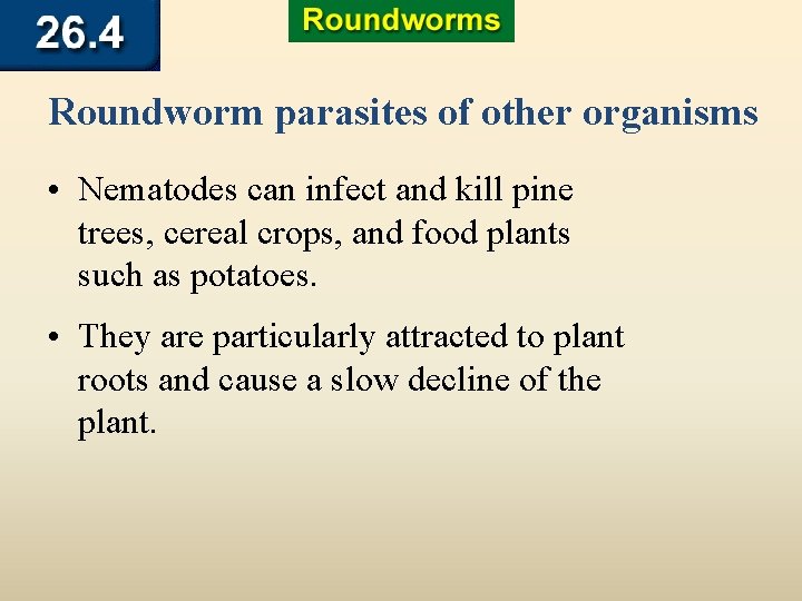 Roundworm parasites of other organisms • Nematodes can infect and kill pine trees, cereal
