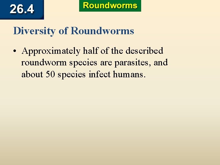 Diversity of Roundworms • Approximately half of the described roundworm species are parasites, and