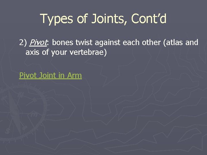 Types of Joints, Cont’d 2) Pivot: bones twist against each other (atlas and axis