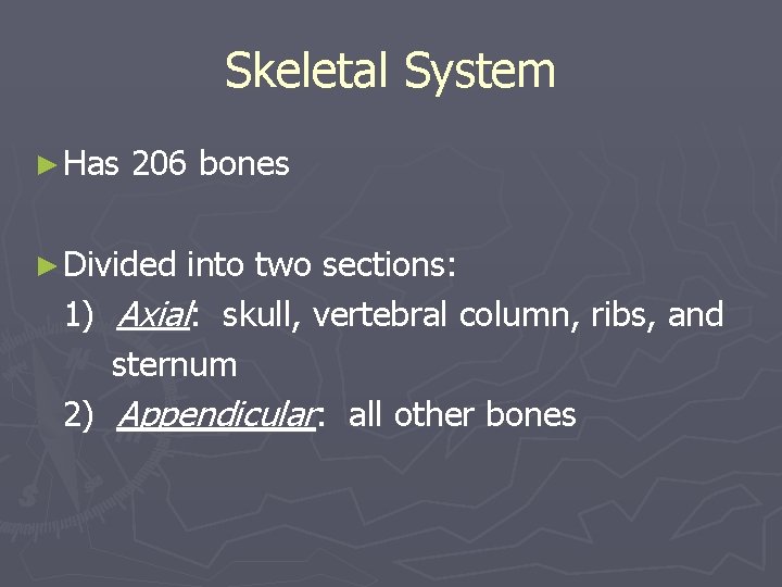 Skeletal System ► Has 206 bones ► Divided 1) 2) into two sections: Axial: