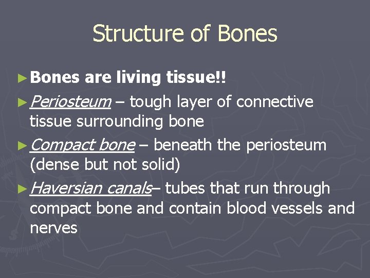 Structure of Bones ► Bones are living tissue!! ► Periosteum – tough layer of