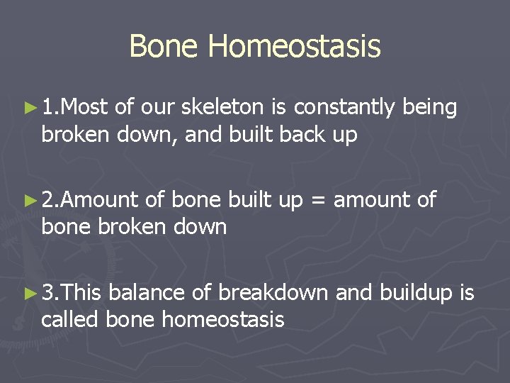 Bone Homeostasis ► 1. Most of our skeleton is constantly being broken down, and