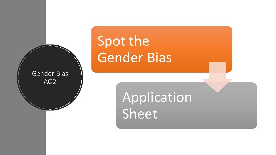 Spot the Gender Bias AO 2 Application Sheet 