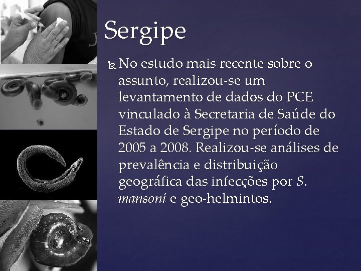 Sergipe No estudo mais recente sobre o assunto, realizou-se um levantamento de dados do