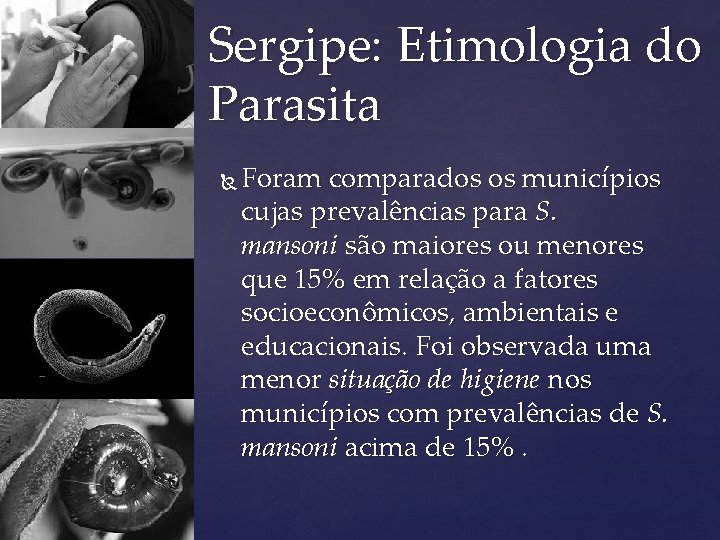Sergipe: Etimologia do Parasita Foram comparados os municípios cujas prevalências para S. mansoni são