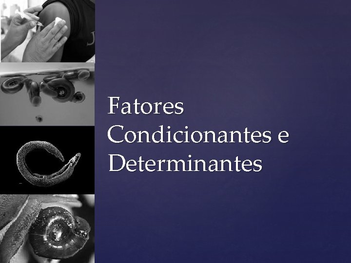 Fatores Condicionantes e Determinantes 