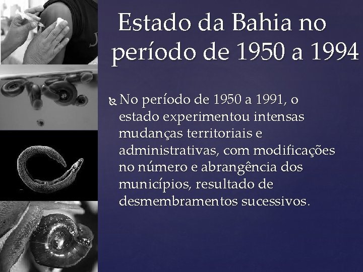  Estado da Bahia no período de 1950 a 1994 No período de 1950