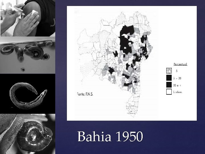 Bahia 1950 