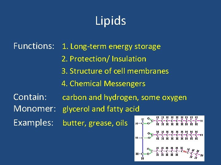 Lipids Functions: 1. Long-term energy storage 2. Protection/ Insulation 3. Structure of cell membranes Lipids Functions: 1. Long-term energy storage 2. Protection/ Insulation 3. Structure of cell membranes