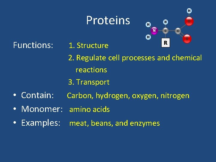 Proteins Functions: 1. Structure 2. Regulate cell processes and chemical reactions 3. Transport • Proteins Functions: 1. Structure 2. Regulate cell processes and chemical reactions 3. Transport •