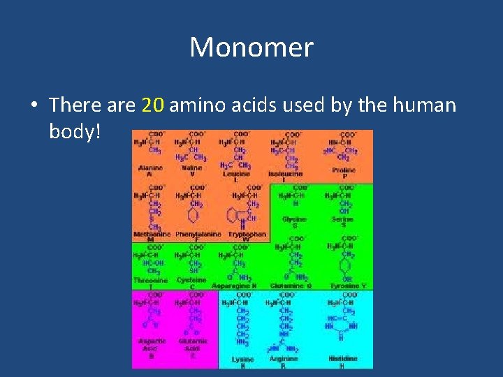 Monomer • There are 20 amino acids used by the human body! Monomer • There are 20 amino acids used by the human body!