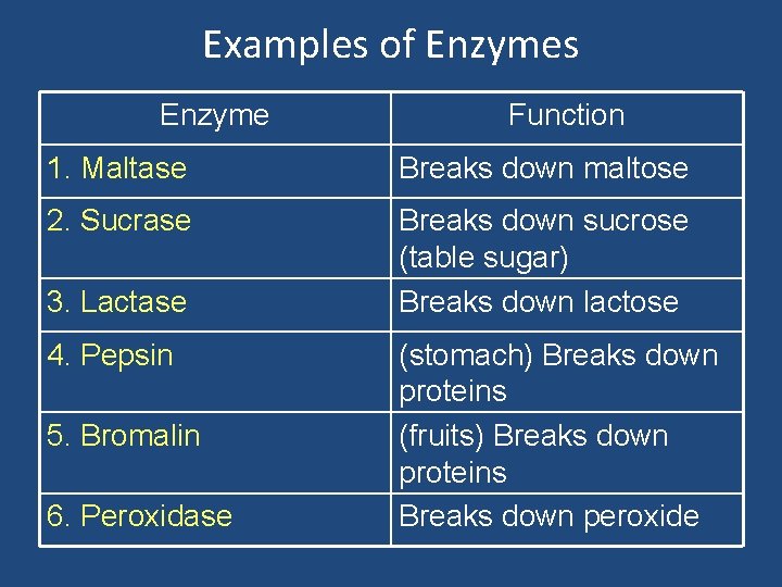 Examples of Enzymes Enzyme Function 1. Maltase Breaks down maltose 2. Sucrase Breaks down Examples of Enzymes Enzyme Function 1. Maltase Breaks down maltose 2. Sucrase Breaks down