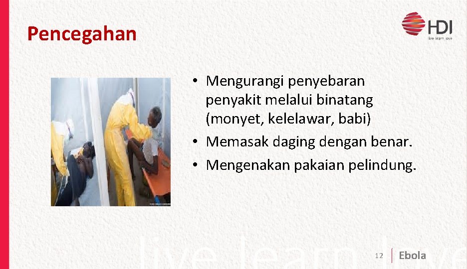 Pencegahan • Mengurangi penyebaran penyakit melalui binatang (monyet, kelelawar, babi) • Memasak daging dengan