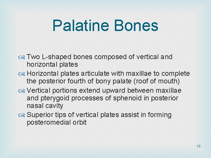 Palatine Bones Two L-shaped bones composed of vertical and horizontal plates Horizontal plates articulate Palatine Bones Two L-shaped bones composed of vertical and horizontal plates Horizontal plates articulate