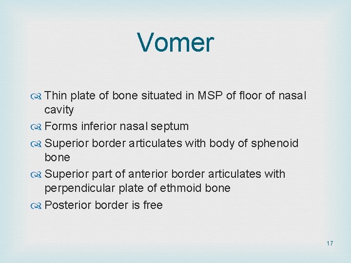 Vomer Thin plate of bone situated in MSP of floor of nasal cavity Forms Vomer Thin plate of bone situated in MSP of floor of nasal cavity Forms