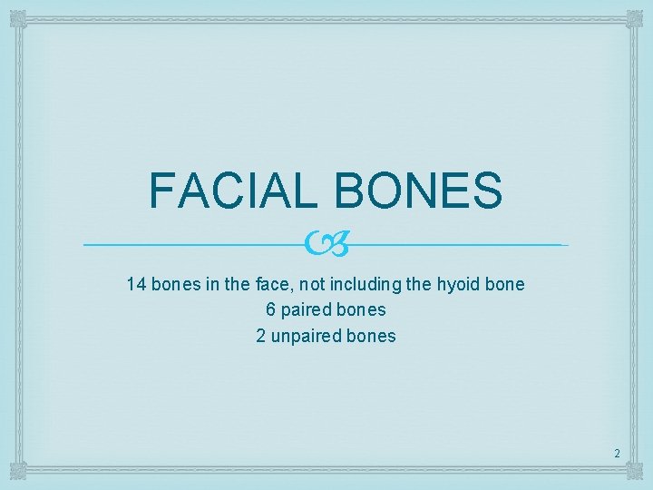 FACIAL BONES 14 bones in the face, not including the hyoid bone 6 paired