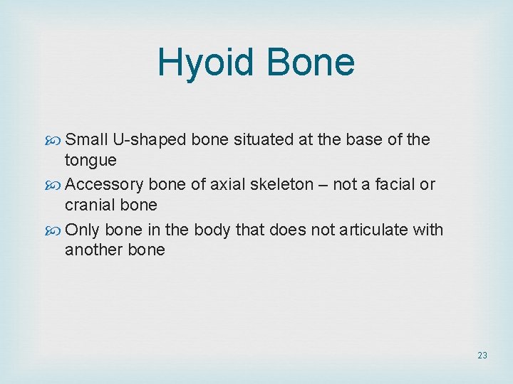 Hyoid Bone Small U-shaped bone situated at the base of the tongue Accessory bone