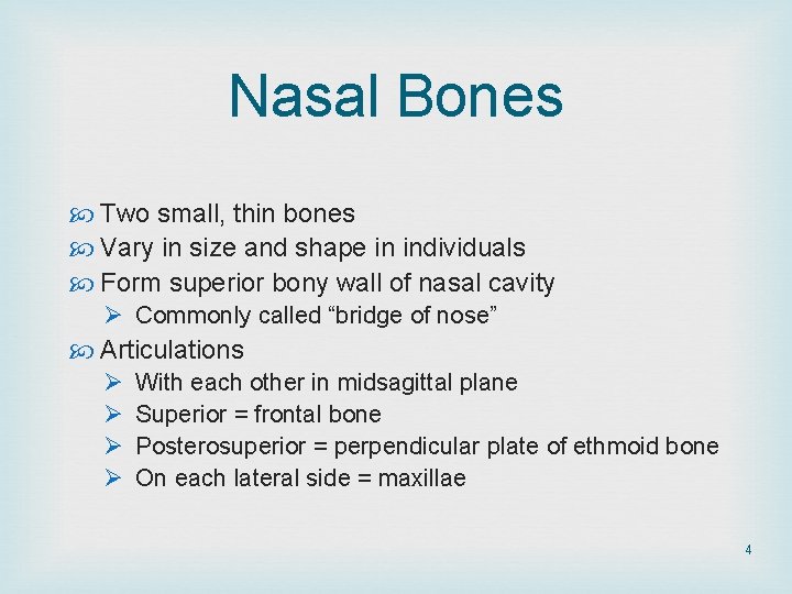 Nasal Bones Two small, thin bones Vary in size and shape in individuals Form Nasal Bones Two small, thin bones Vary in size and shape in individuals Form