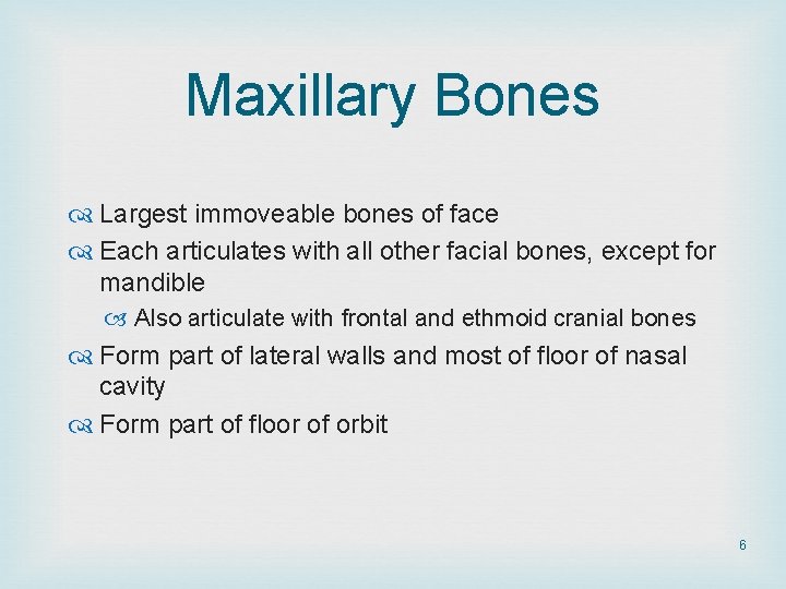 Maxillary Bones Largest immoveable bones of face Each articulates with all other facial bones,