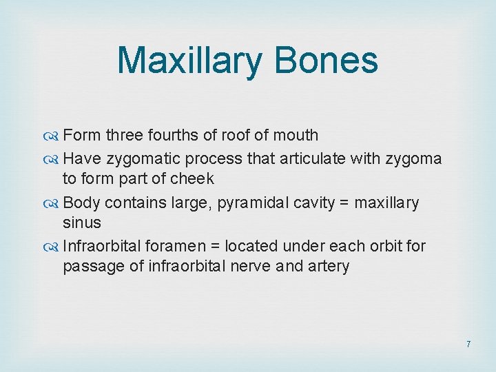 Maxillary Bones Form three fourths of roof of mouth Have zygomatic process that articulate