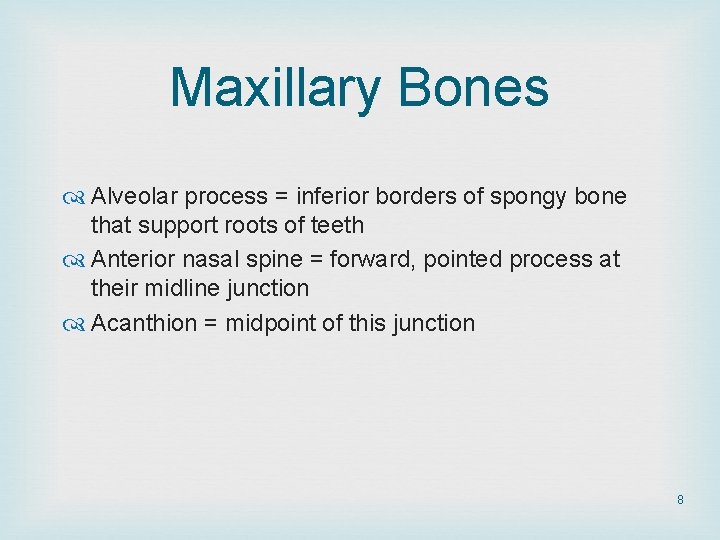Maxillary Bones Alveolar process = inferior borders of spongy bone that support roots of Maxillary Bones Alveolar process = inferior borders of spongy bone that support roots of