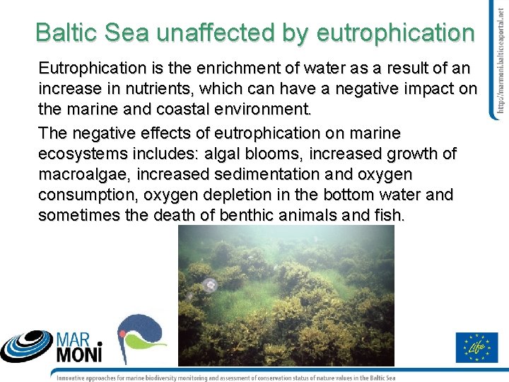 Baltic Sea unaffected by eutrophication Eutrophication is the enrichment of water as a result