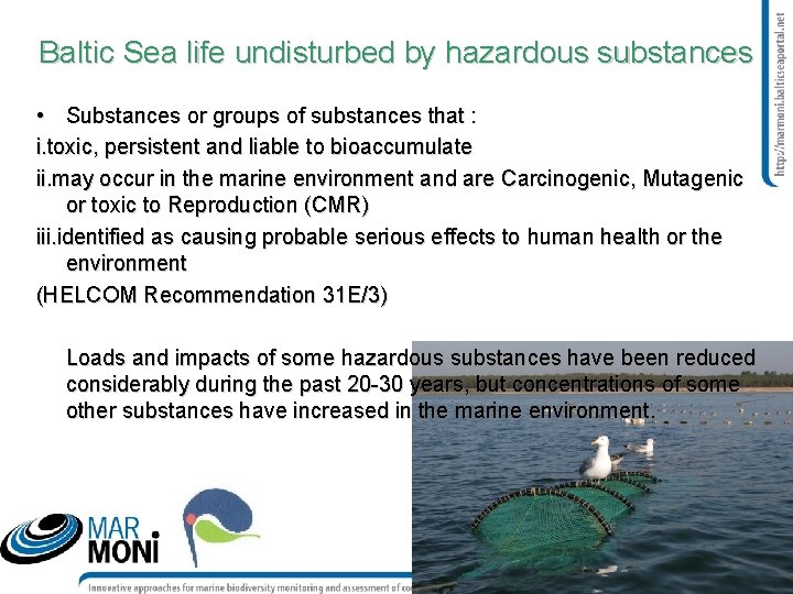 Baltic Sea life undisturbed by hazardous substances • Substances or groups of substances that