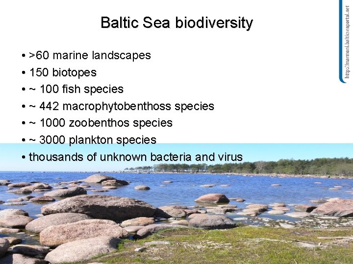 Baltic Sea biodiversity • >60 marine landscapes • 150 biotopes • ~ 100 fish