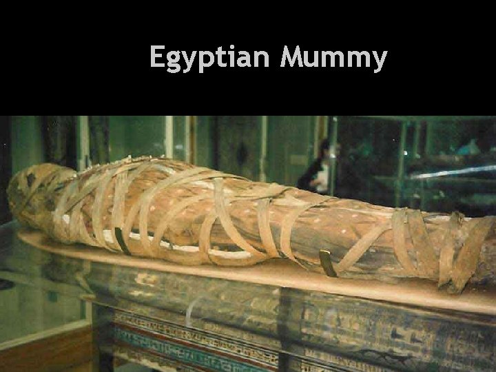 Health and Everything Egyptian Mummy 