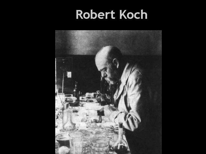 Robert Koch Health and Everything 