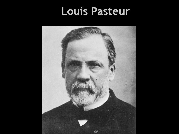 Louis Pasteur Health and Everything 