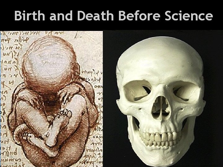 Health and Everything Birth and Death Before Science 
