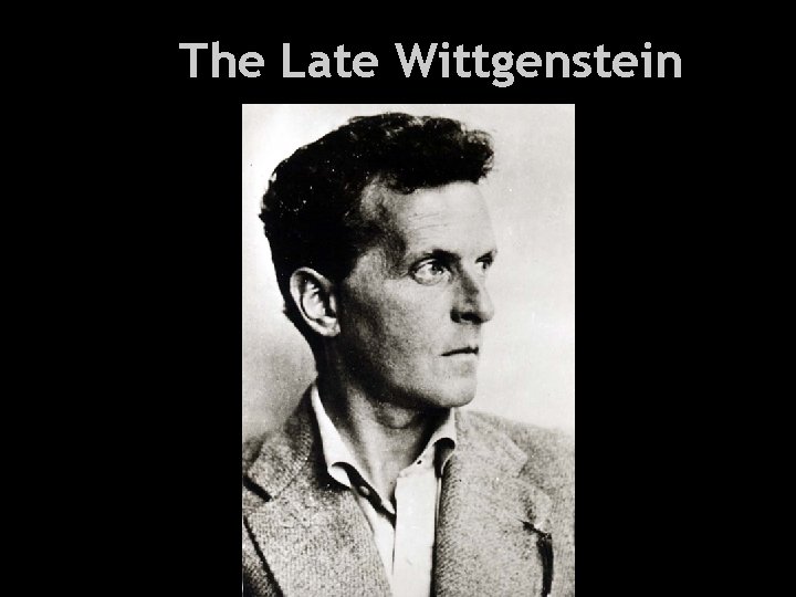 Health and Everything The Late Wittgenstein 