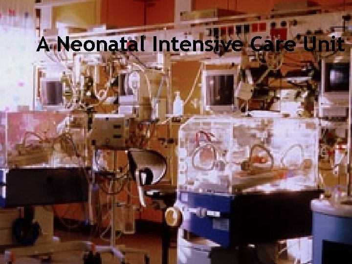 Health and Everything A Neonatal Intensive Care Unit 