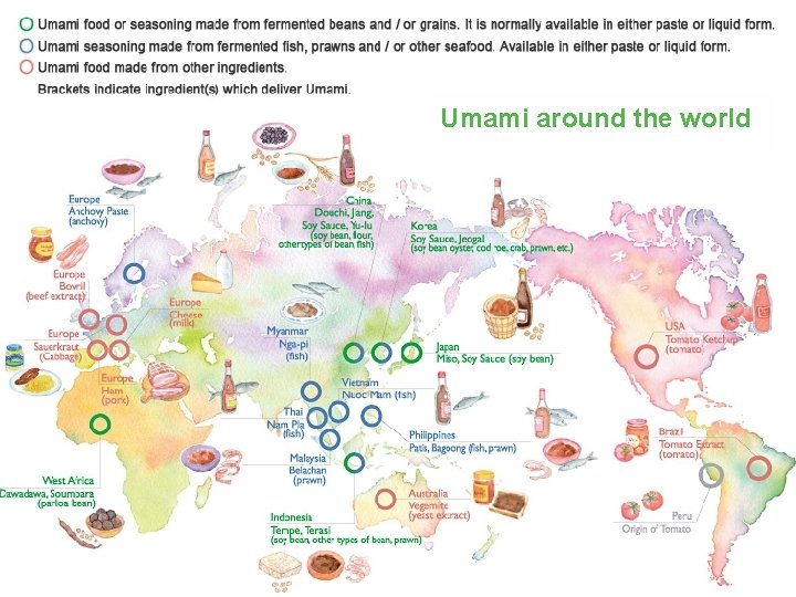 Umami around the world © BRITISH NUTRITION FOUNDATION 2017 