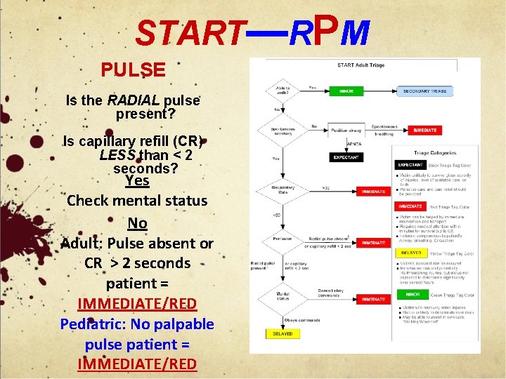 START—RPM PULSE Is the RADIAL pulse present? Is capillary refill (CR) LESS than <