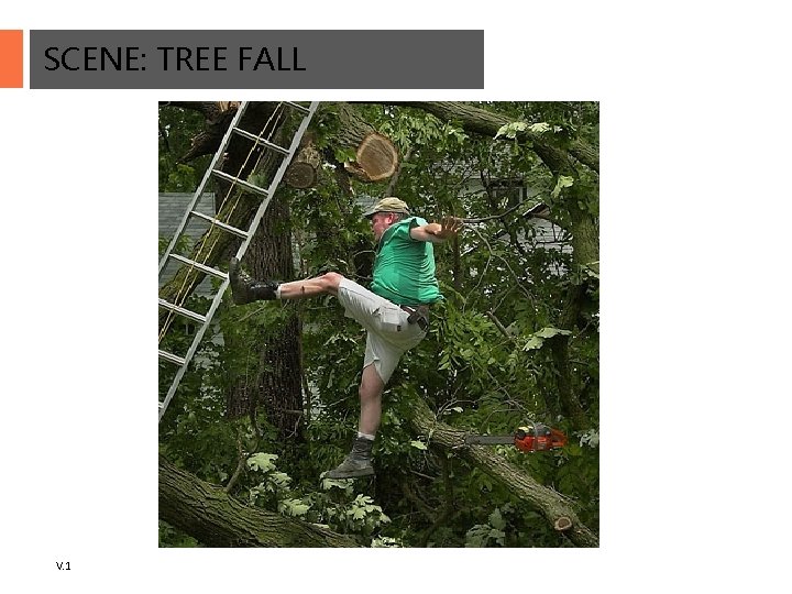 SCENE: TREE FALL V. 1 