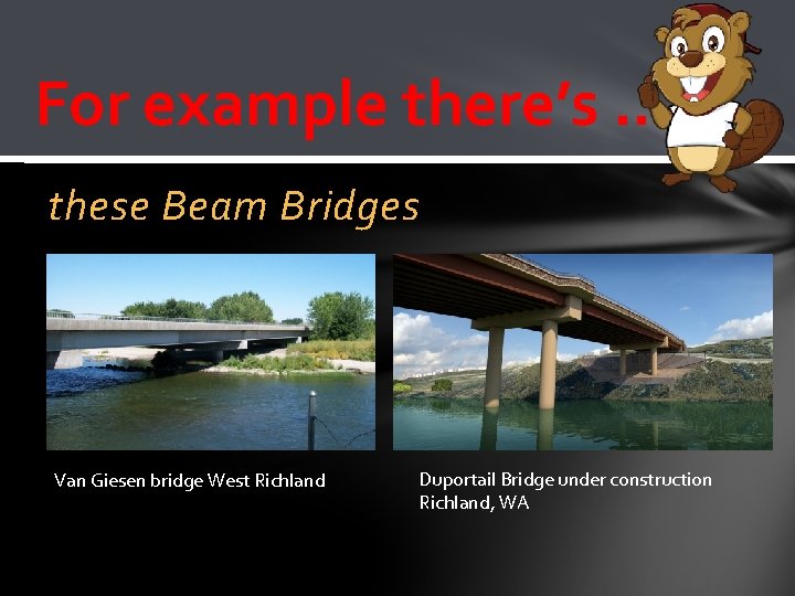 For example there’s …. these Beam Bridges Van Giesen bridge West Richland Duportail Bridge