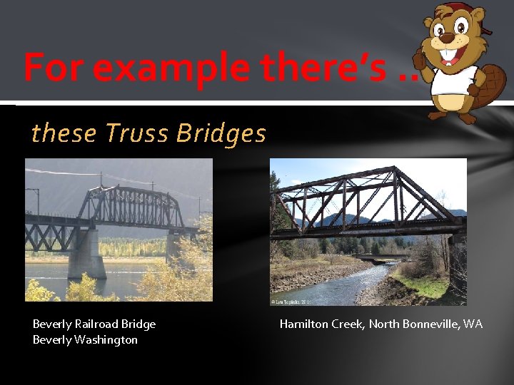 For example there’s …. these Truss Bridges Beverly Railroad Bridge Beverly Washington Hamilton Creek,