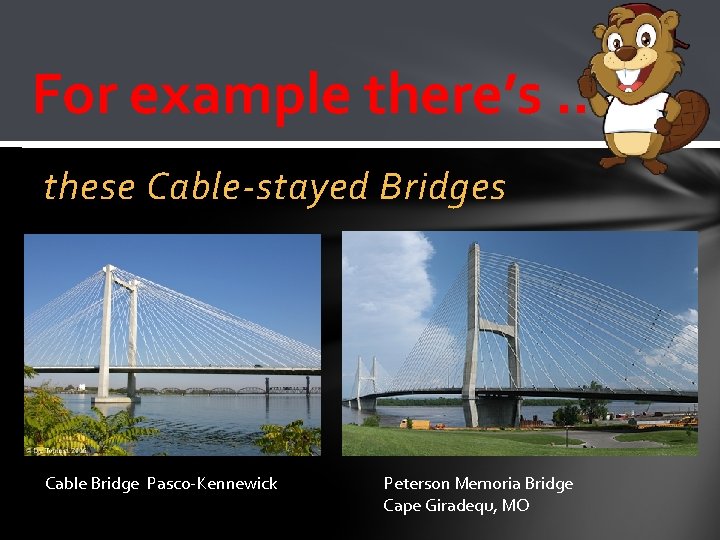 For example there’s …. these Cable-stayed Bridges Cable Bridge Pasco-Kennewick Peterson Memoria Bridge Cape