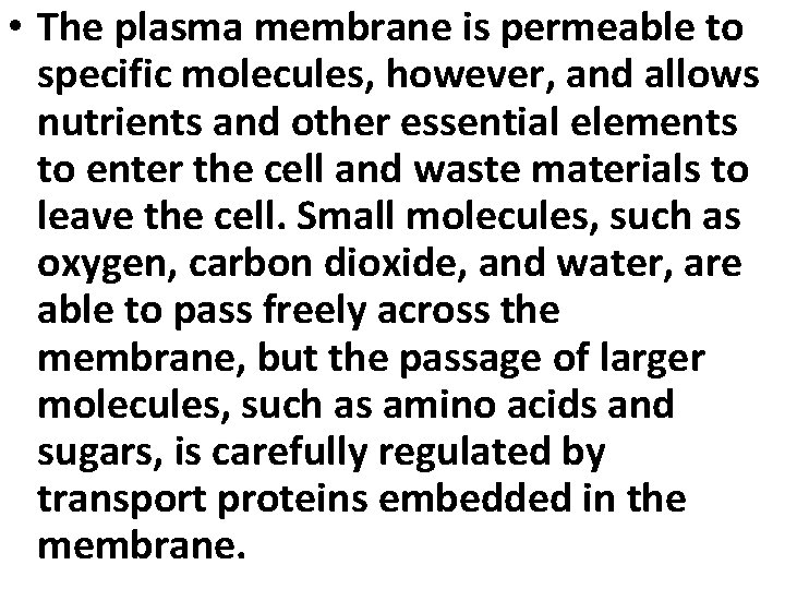  • The plasma membrane is permeable to specific molecules, however, and allows nutrients